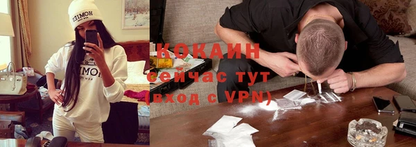 прущие грибы Горно-Алтайск