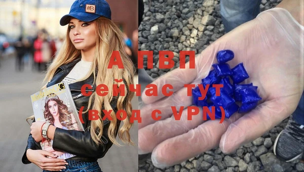 гашик Инта