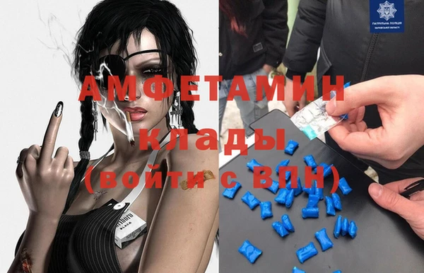 гашик Инта
