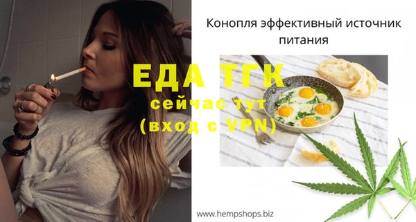 гашик Инта
